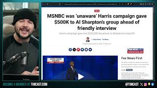 MSNBCs Al Sharpton Group Was PAID 500k By Kamala Campaign Democrats PAID MEDIA To Shill [upl. by Odnam]