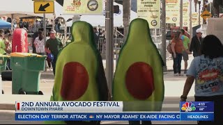 Downtown Pharr hosts 2nd annual avocado festival [upl. by Chiquia]