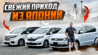 Цены на авто из Японии в сентябре 2024🚘 [upl. by Hazmah]