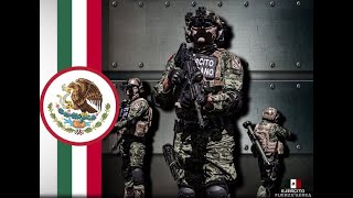 Fuerzas Especiales Mexicanas 2021 ¡TODO POR MÉXICO  Mexican Special Forces 2021 [upl. by Hatokad472]