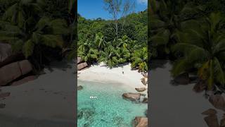 Der wohl schönste Ort der Welt😍🌴🐢🇸🇨 seychellen ladigue praslin anselazio [upl. by Aemat]