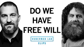 Do We Have Free Will  Robert Sapolsky amp Andrew Huberman [upl. by Jeth685]