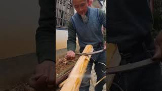 The process of peeling bark from a log [upl. by Otsedom]