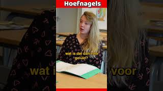 Ik ben geen hond peterhoefnagels hond pubers brugklas school onderwijs [upl. by Enitsua]