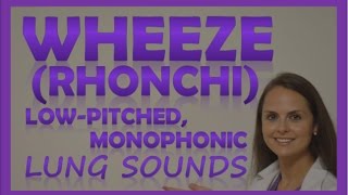 Wheezes Lung Sounds Monophonic Rhonchi Breath Sounds Abnormal Sonorous Wheeze [upl. by Rayham952]