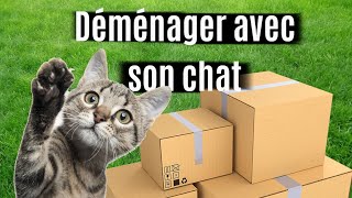 Comment déménager avec mon chat  Comment lui éviter de stresser [upl. by Dutchman]