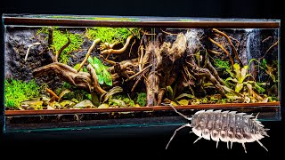 Isopod Tree Root Forest Vivarium with Easy Clay Background [upl. by Ardnahcal624]