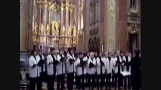 O Tannenbaum du trägst ein grünen Zweig sung by womens choir of Erfurt Germany Thuringia [upl. by Alliuqet]