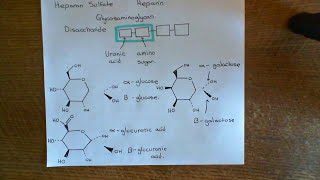 Antithrombin 3 and Heparin Part 6 [upl. by Anialahs]