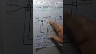 Carbohydrates Digestion and AbsorptionBiochemistry Sahiba Sohbat [upl. by Eduj]