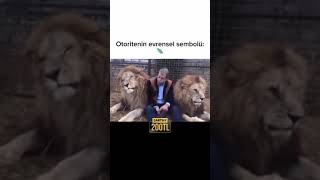 Anne terliğinden korkan aslan🦁 keşfet comedyvideos tiktokviral [upl. by Bowne]