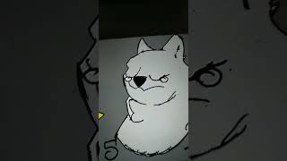 O MEME DOGE KABOSU FALECEU AOS 18 ANOS [upl. by Alyehs404]