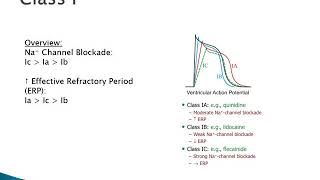 Pharmacology of Antiarrhythmics [upl. by Acirred]