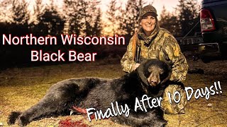 Big Block Head Wisconsin Black Bear After A 13 Year Wait [upl. by Yebloc447]