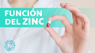 ¿Para Qué SIRVE el ZINC 🤔 7 Beneficios de la Vitamina Zinc [upl. by Rehprotsirhc]