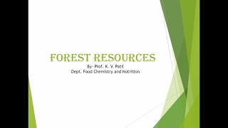 Forest Resources [upl. by Kiersten]