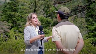 Decaimiento forestal en los Pirineos  Basoen gainbehera Pirinioetan [upl. by Noemi]