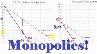 Details about Monopolies Full Lecture [upl. by Ydnik]