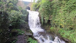 waterfall walk 2024 [upl. by Grochow]