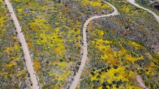 En Californie un drone capture un paysage exceptionnel  AFP Images [upl. by Lambert931]