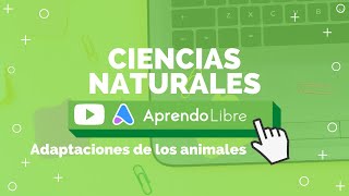 Evolución y adaptación  Planeta Darwin  Ciencias naturales [upl. by Kus]