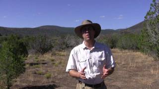 Introduction To Desert Survival With Tony Nester [upl. by Eicam]