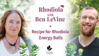 Rhodiola with Ben LeVine  Recipe for Rhodiola Energy Balls [upl. by Ribak]