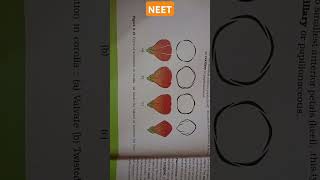 MORPHOLOGY OF FLOWERING PLANTS aestivation types corollaValvateTwisted ImbricateVexil neet [upl. by Kronfeld]