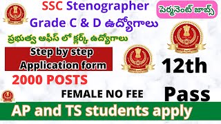 ప్రభుత్వ ఆఫీసు లో పర్మనెంట్ క్లర్క్ జాబ్స్  SSC Stenographer 2024 SSC Stenographer apply Online [upl. by Nawoj]