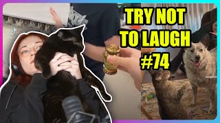 TRY NOT TO LAUGH CHALLENGE 74  Kruz Reacts [upl. by Annauqaj]