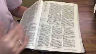 NLT Illustrated Study Bible [upl. by Anilos]