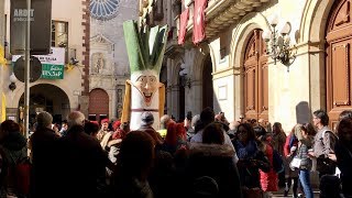 Cercavila dels Elements Festius de la Calçotada [upl. by Lledniuq94]