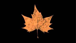 Lustre  The Ardour of Autumn Part 1 [upl. by Philippe]