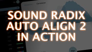 Sound Radix Auto Align 2 In Action [upl. by Ervin]