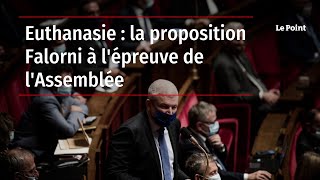 Euthanasie  la proposition Falorni à lépreuve de lAssemblée [upl. by Ennayd751]