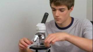 The Home Microscope Series [upl. by Harness964]