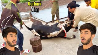 Qurbani Vlog 😍 Zohaib Sabir Vlogs [upl. by Cousin740]