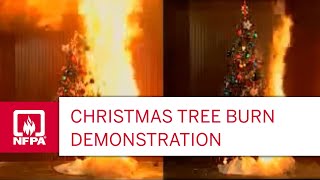 Christmas Tree Burn Demonstration [upl. by Oirazan]