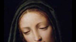 Immaculate Mary [upl. by Newel]