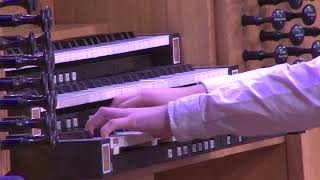 Dexter Organ  Sonata Op 49 No 2 Ludwig Van Beethoven [upl. by Imis]