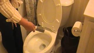 Household Tips  Clean Mineral Ring From Toilets  Your Youtube Mom [upl. by Gnort]