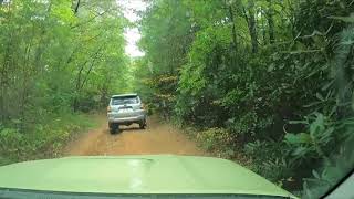 Lime Rush 2022 Toyota 4Runner TRD Pro POV on Blue Ridge Georgia Trails [upl. by Theran173]