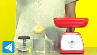 Archimedes Principle demonstration  Buoyancy  Physics [upl. by Jarad]