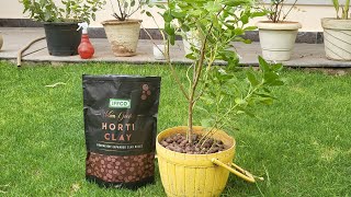 Horti Clay LECA  Lightweight Expanded Clay Aggregate  Gardening  Urban gardening  Plant care [upl. by Eedyak]