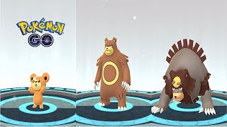 Teddiursa Ursaring Ursaluna Full Evolution  Pokémon GO [upl. by Vincenta516]