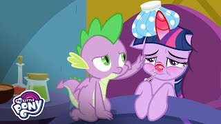 Friendship is Magic  Ailicorn  Official Short [upl. by Ainival]