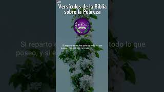 ✞ Que dice la biblia sobre la Pobreza shorts short labiblia biblia versiculos RVR1960 [upl. by Henke]