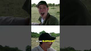 Encountering Elephants Up Close‐Mr Beast [upl. by Eillas]