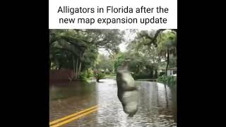 Alligators in Milton be like [upl. by Lionel]