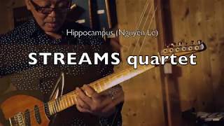 Hippocampus  Nguyên Lê Streams quartet [upl. by Nnaycnan349]